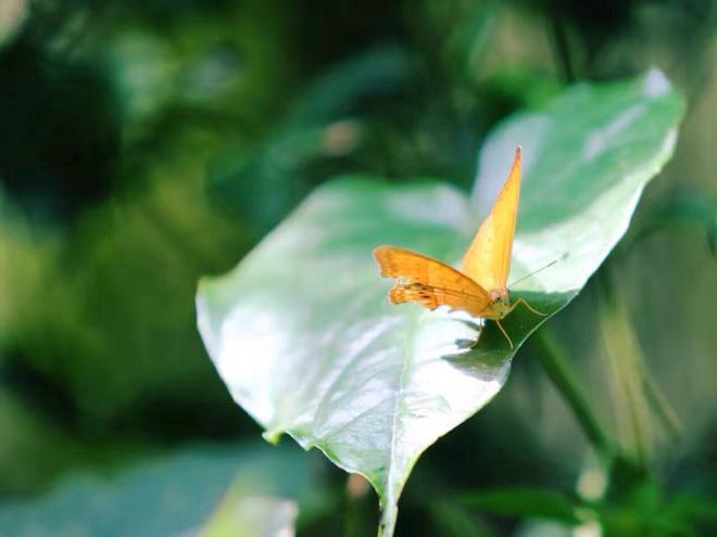 追寻本质  CX-4秘境探索广西开启心之旅