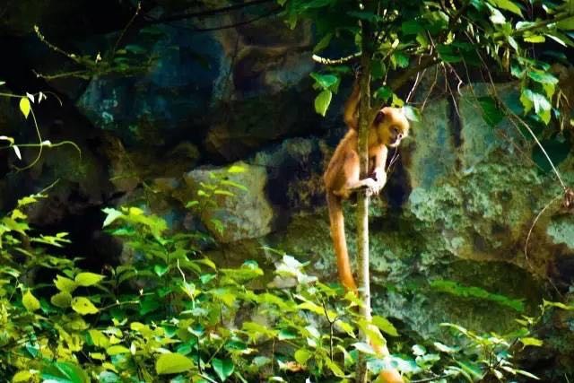 追寻本质  CX-4秘境探索广西开启心之旅