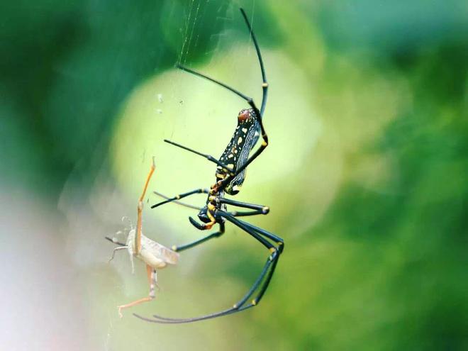 追寻本质  CX-4秘境探索广西开启心之旅