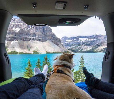 蹲车窗干这种羞羞的事情 后面的车凌乱了