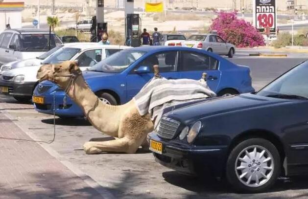 车震我见过 火车震到是第一次见