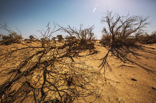 勇士的荣耀，探秘罗布泊无人区