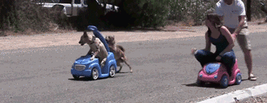 车震我见过 火车震到是第一次见