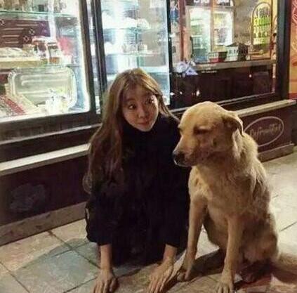 车震我见过 火车震到是第一次见