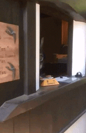 车震我见过 火车震到是第一次见