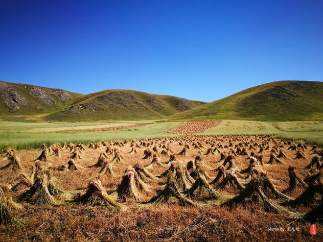 路虎自驾青甘川，每个人都是独特的风景
