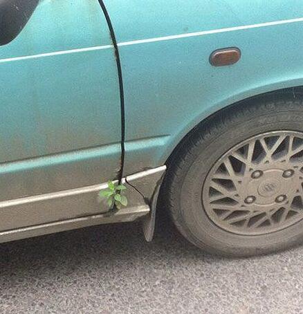 挺漂亮个小姑凉 咋把鼻屎贴在我玻璃上呢？