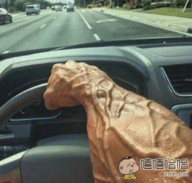 每日趣图|看大叔的眼神妹子当众脱裤子我们不反对