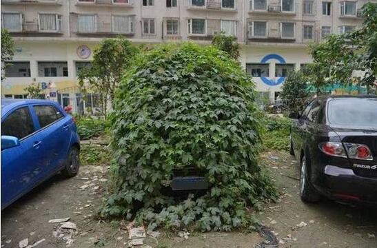 每日趣图|过了夏天再也看不到走光的风景了