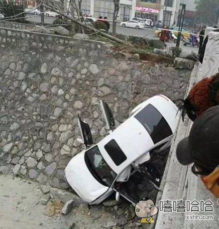 每日趣图|在马路上真憋不住了 妹纸的心声