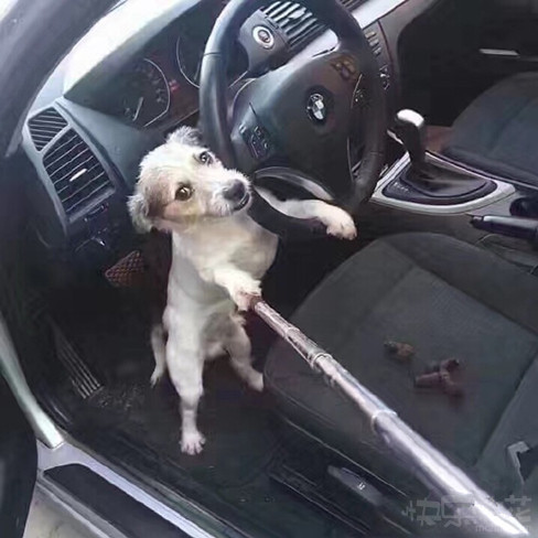 每日趣图|出租车老司机偷拍女乘客走光