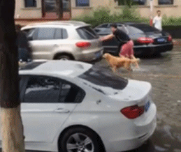每日趣图|出租车老司机偷拍女乘客走光