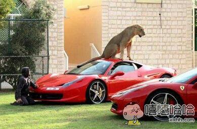 每日趣图|美女裙子太短 一下车全走光了