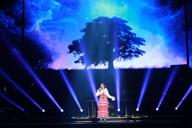 苏运莹《野子》