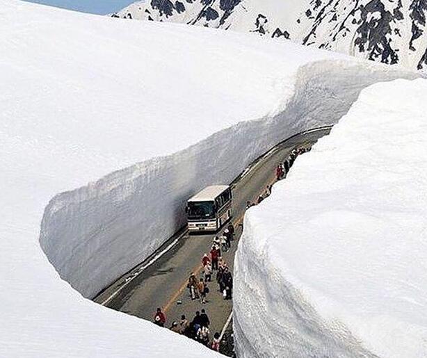 每日趣图|战斗民族公路都是这样的