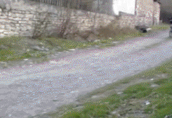 每日趣图|战斗民族公路都是这样的