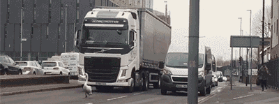 每日趣图|看了就流鼻血的身材 我能看一年