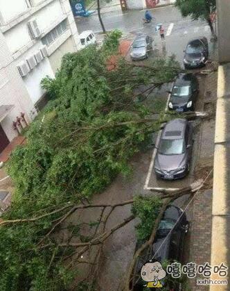 每日趣图|看了就流鼻血的身材 我能看一年