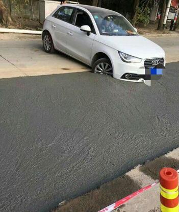 每日趣图|窗外那么大 我要去看看