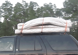 每日趣图|把警车撞进小树林 摊上事了