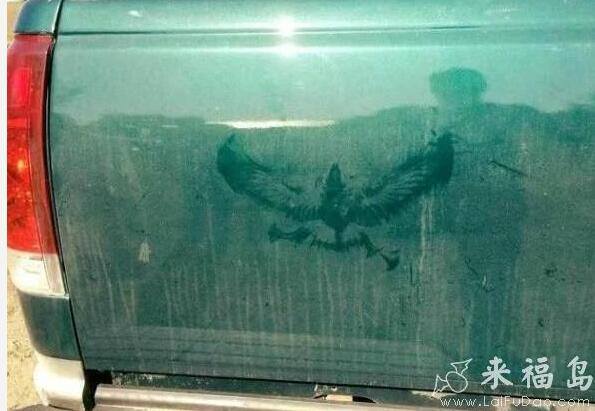 每日趣图|把警车撞进小树林 摊上事了