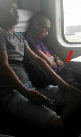 每日趣图|高速偶遇骷髅人搭便车