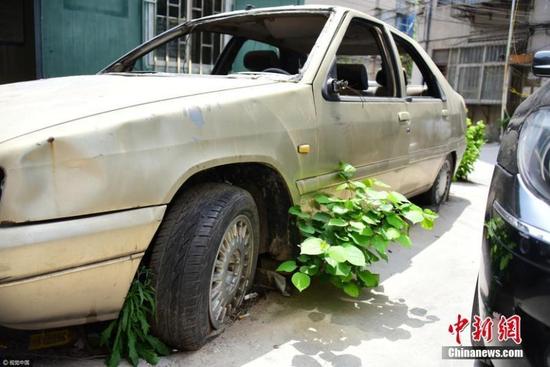 郑州僵尸车十几年未挪窝 车轮嵌进水泥地