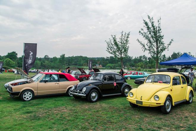 低趴经典搞事情 一汽大众粉丝嘉年华闹成都