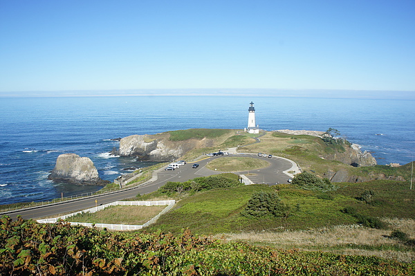 俄勒冈Highway 101天海公路本应是这样的美