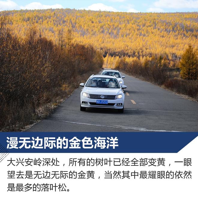 草原森林赏最美秋色 体验大众朗行180TSI
