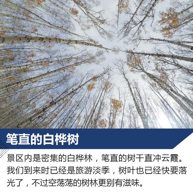 草原森林赏最美秋色 体验大众朗行180TSI