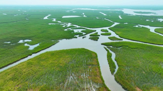动动手指 和宝马一起守护美丽家园