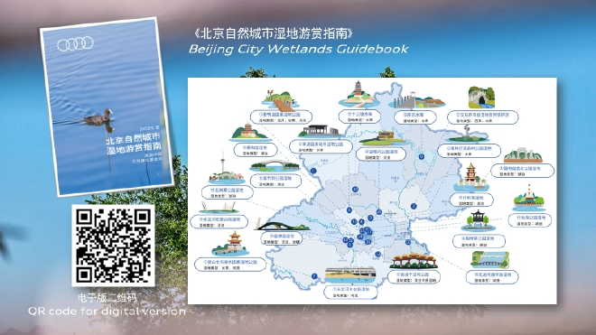 “奥迪中国自然城市行动 ”携手北京绿化基金会发布《北京自然城市湿地游赏指南》