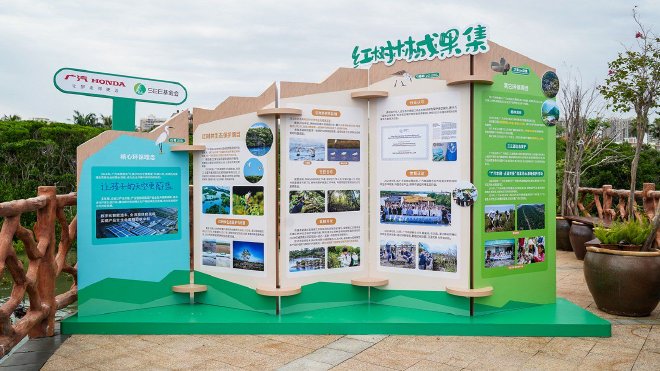 绘蓝碳生态画卷 广汽本田红树林行动落地广东湛江
