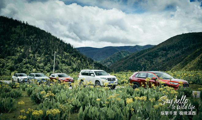 一汽丰田极境滇西 试驾家族全系SUV