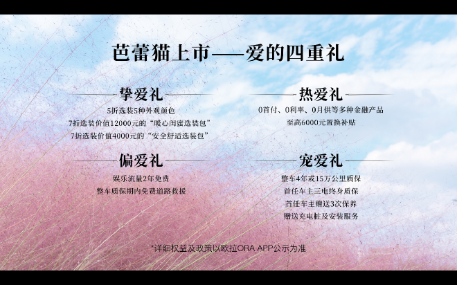 时尚圈复古品类 欧拉芭蕾猫设计理念探讨