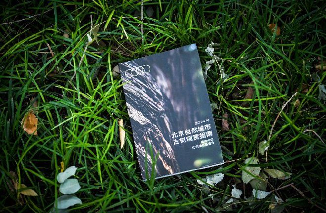 奥迪中国自然城市行动2025城市湿地科普体验，共赴生物多样性之约