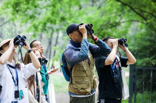 奥迪中国自然城市行动2025城市湿地科普体验，共赴生物多样性之约