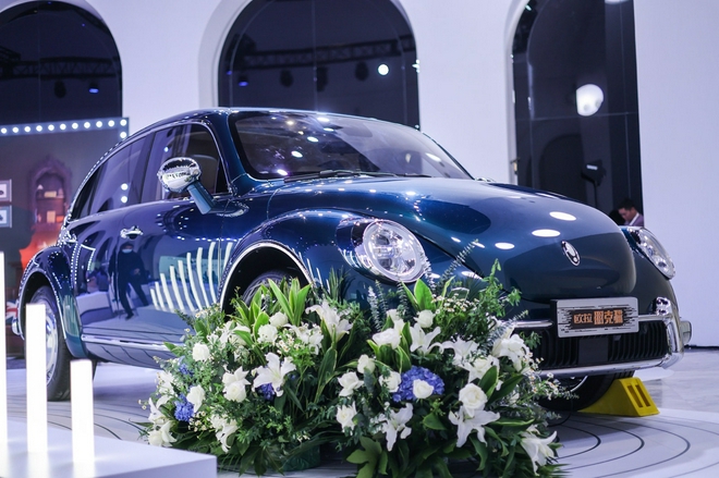 女性与共创 欧拉朋克猫的艺术之旅