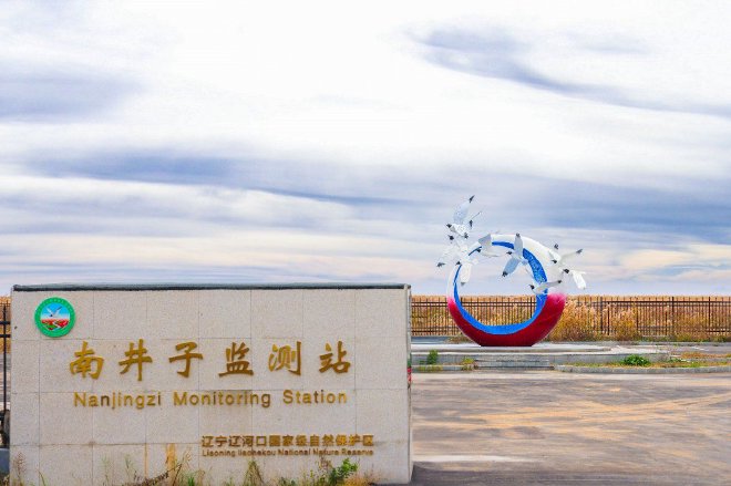 动动手指 和宝马一起守护美丽家园