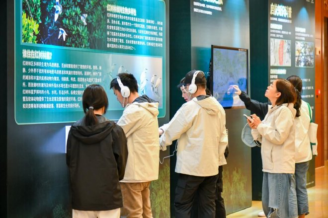 红树林生态体验营在湛江圆满结营