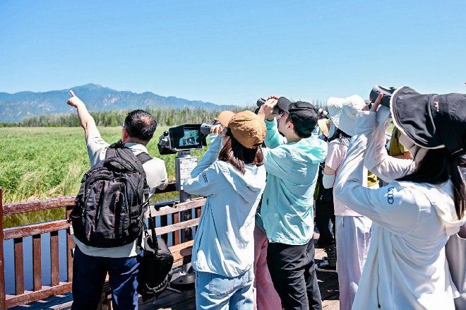 奥迪中国自然城市行动2025城市湿地科普体验，共赴生物多样性之约