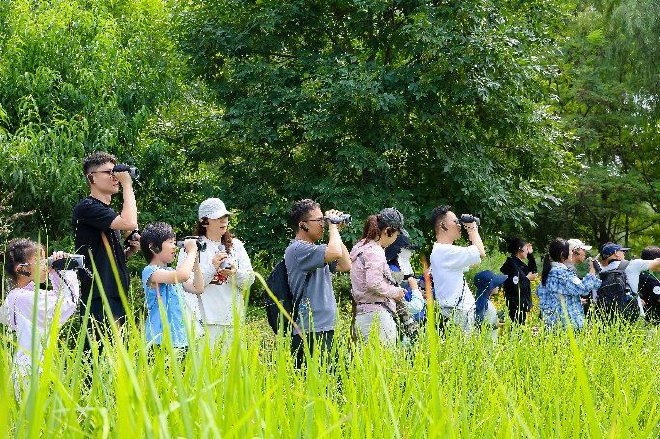 “奥迪中国自然城市行动”2025城市湿地科普体验活动
