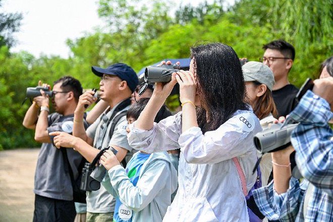 奥迪中国自然城市行动2025城市湿地科普体验，共赴生物多样性之约