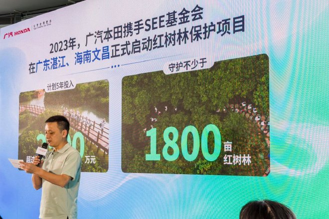绘蓝碳生态画卷 广汽本田红树林行动落地广东湛江