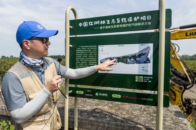 绘蓝碳生态画卷 广汽本田红树林行动落地广东湛江