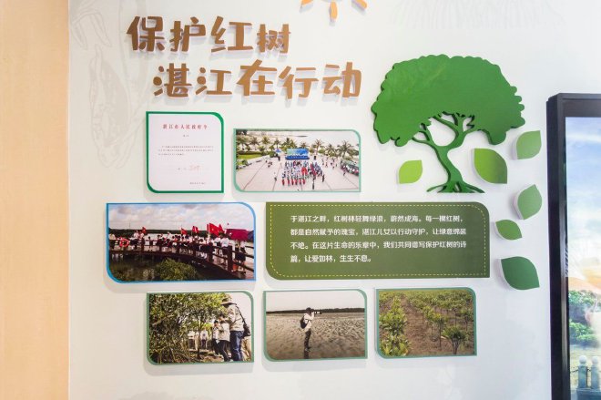 绘蓝碳生态画卷 广汽本田红树林行动落地广东湛江