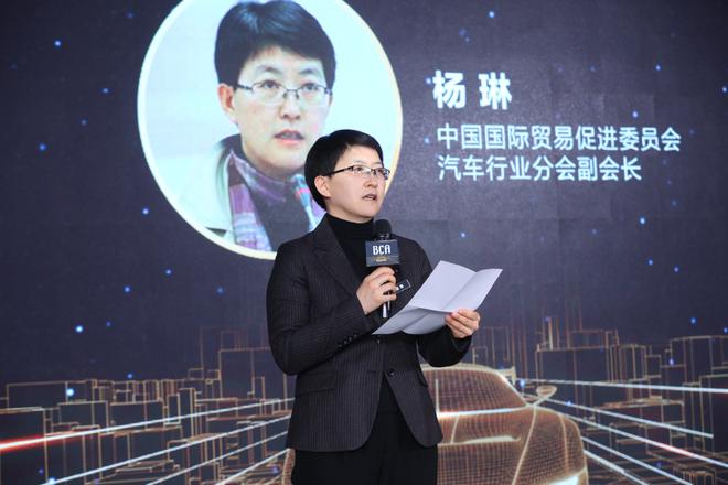 杨琳   中国国际贸易促进委员会汽车行业分会副会长