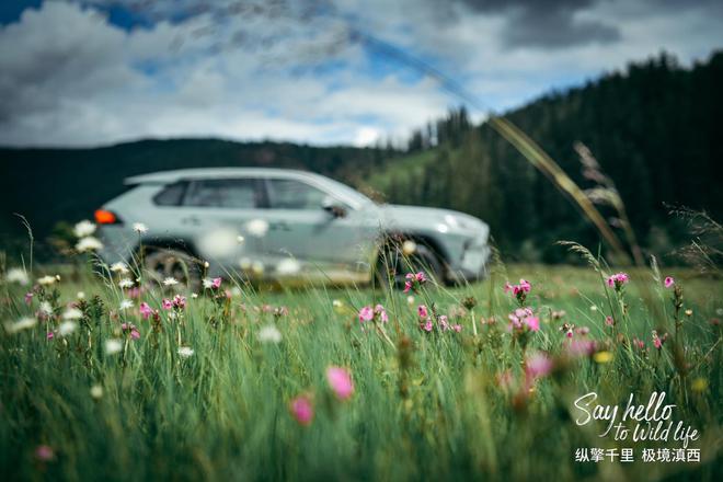 一汽丰田极境滇西 试驾家族全系SUV