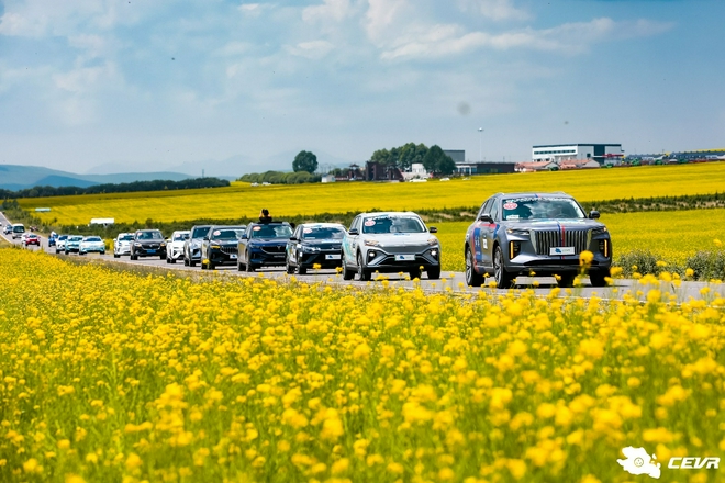 各显神通 环青海湖电动汽车挑战赛落幕